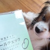 顔の劣化はホルモンのせい？検査で判明＆愛犬の更年期事情も【体験記】