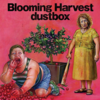 dustbox 『Blooming Harvest』