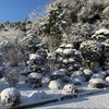 突然の雪！でも、改善した除雪機で快調！