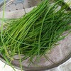 今年もあさづき味噌