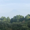 今朝の景色
