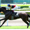 【Prediction】Queen Elizabeth II Cup ＆ 福島記念