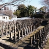 【真田山陸軍墓地】日本近代史 墓碑が整然と並ぶ 心静かにお参りする所