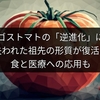 ガラパゴストマトの「逆進化」に秘密？失われた祖先の形質が復活、食と医療への応用も