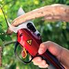 Just How To Choose The Most Effective Pruning Shears