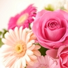 【花キューピット】インターネット通販でお得に花を購入する方法！ポイントサイト経由！