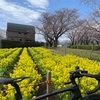 朝夕近所サイクリング