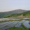 養父市別宮の棚田風景