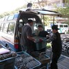 ウエスの納品・搬入　/　午後の自由活動　ハギとキンモクセイ