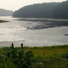 加瀬沼（宮城県利府）