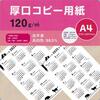 【メルカリ】2025年★年間カレンダー 猫のシルエット 縦 厚口 コピー用紙