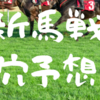 7/17（日）新馬戦穴馬予想‼