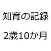 知育の記録を振り返ってみました。2016年9月、娘2歳10か月。