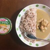 「チキンとタイカレー　グリーン」（いなば）【在宅カレー】