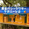 　沖縄にある黄金のシ－クヮーサー、クガニーとは‥