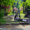 権現堂山登山（その1）