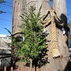 奥氷川神社（東京都西多摩郡奥多摩町）