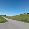 松山から行く四国カルスト絶景旅｜ドライブコースと見どころまとめ
