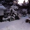 雪が来た　’21