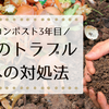 コンポスト3年目、虫のトラブルへの対処法