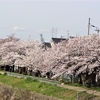 3－4月の天野川