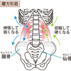 腰方形筋（ようほうけいきん）