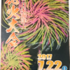 今週末から花火大会が始まっていきます