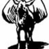 【野鳥雑記より・８】