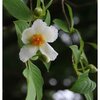 有意義な１日