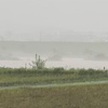 雨はこりごり…。