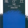 数珠繋ぎのメモ帳　『嵐が丘』の実況録