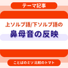 上ソルブ語と下ソルブ語の鼻母音の反映