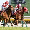 競馬初心者必見☆馬券予想🔥〜京王杯スプリングC〜リピーターに要注意！
