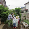 シジュウカラの観察