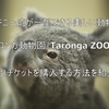 【７００円も安く買える！】タロンガ動物園（Taronga ZOO）の割引チケットを購入する方法を紹介！