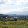 奈良県）初秋の「山の辺の道」（桜井駅→柳本駅）。綿の実。みかん。