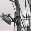 電信柱ひっそりカラス