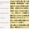 経絡の概要を観察しよう！