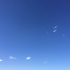 3月