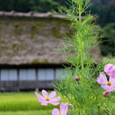 ukiyoniha’s blog