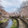 若泉公園