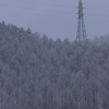 飛騨の冬景色【平湯峠付近】