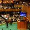 【2016 Fasig-Tipton The Saratoga Sale】が終了!(最高価格はMedaglia d’Oro産駒)