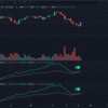 【仮想通貨】仮想通貨の今後　ハッシュリボンを使ってどのように動くか！？