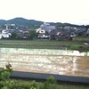 大雨でした。