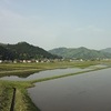 きのう見た風景⑮〜丁寧に手植えを〜