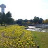 <span itemprop="headline">日本一大きい国立公園木曽三川公園</span>