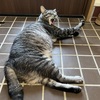 疲れ果てました