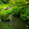 ふたたび　妙心寺　退蔵院