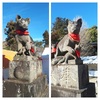 茨城県龍ヶ崎の女化稲荷神社に行ってきました🦊🌾